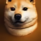 87897778527904952366690285991632176129735310867386912489173561038295720263681