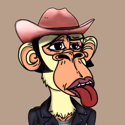 6562252184592893911520247449440180914293682948156032867722524022802682478593