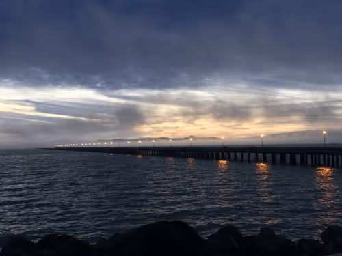 Bored Ape Guitar Club