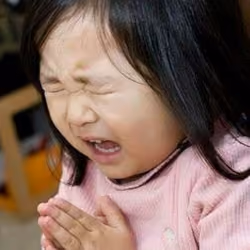 PRAY FOR BITCOIN $100k