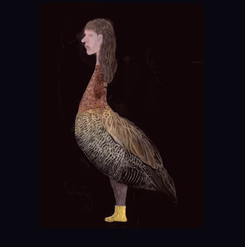 Item #31123813872274373281104257789160308506930923403208043792062521189391210119169 Media