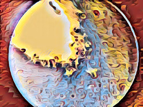 Item #68103433958729647441734292428991292973430553462390996571560802145001258614785 Media