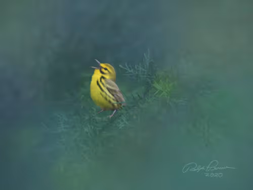 Item #87010381111465546446533837784739915015969227836849701116768191717215488180225 Media