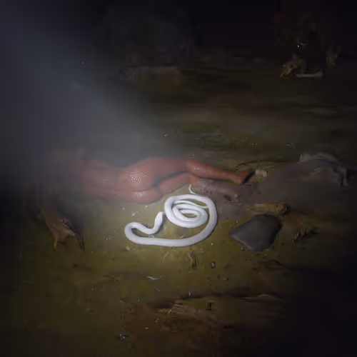 Item #111607645075879512525909683980361439983350829644880859015643418575722067787777 Media