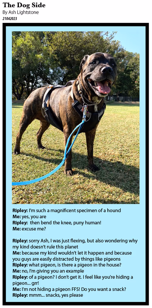 Item #626897290553149767847652691518108619534148298379556002124578611206094323717 Media