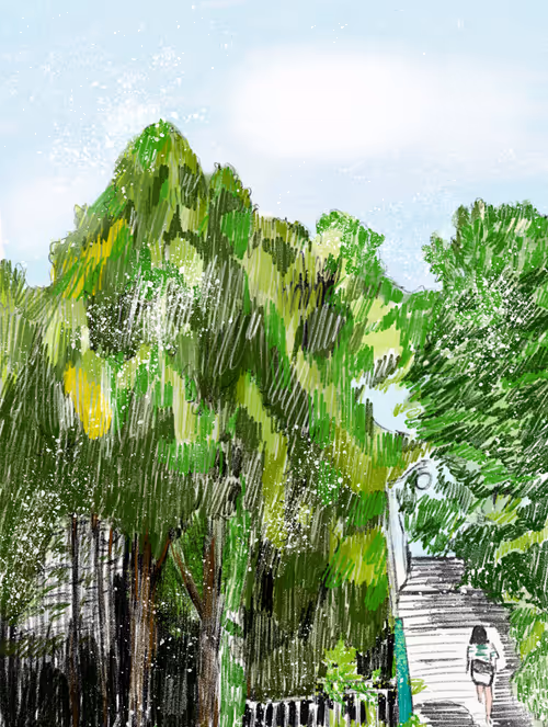 Item #92808873061106329773423450610641242245535083277284823745921947900719742844933 Media