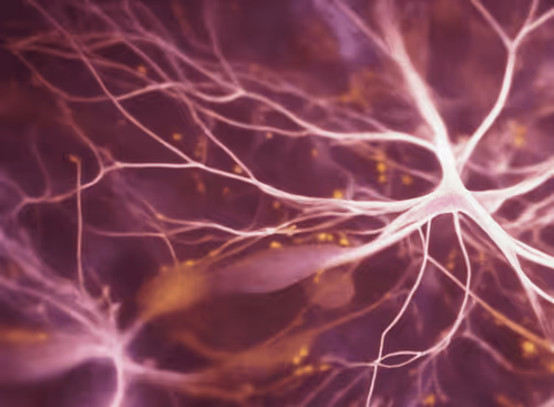 Item #98695163844141812296559601516468632585703412525772017875852753103232717291521 Media