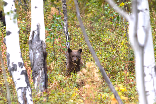 Item #19207338348144225692080396183640865546201068415206893468727031803586862383105 Media