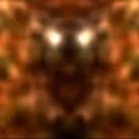 Item #97585304333808162247402544925001802517202383444766243305003533318096970317924 Media