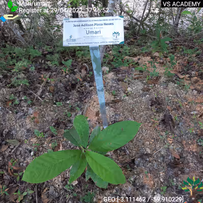 Item #8500196597889277390194123329501889087166328879864934763448348841308500000769 Media