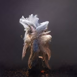 The Non-Human Artwork Project #19