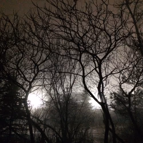 Mystery in the Mist
