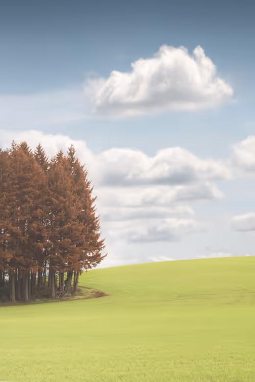 Item #39071023685345521589531013450918722216572370939070752972983331699301388648449 Media