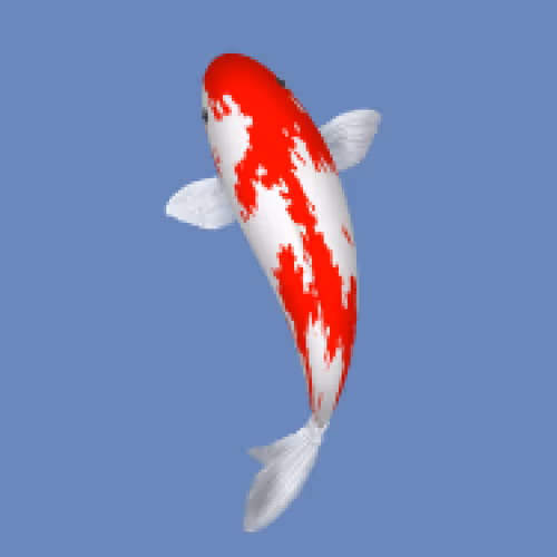 Item #85890538515849146191794191908996501016024634704301377485849139018196693549057 Media