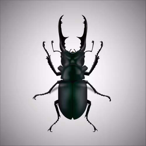 Item #15006194083360452165747859706250248338064014496976576965207407931547224899585 Media