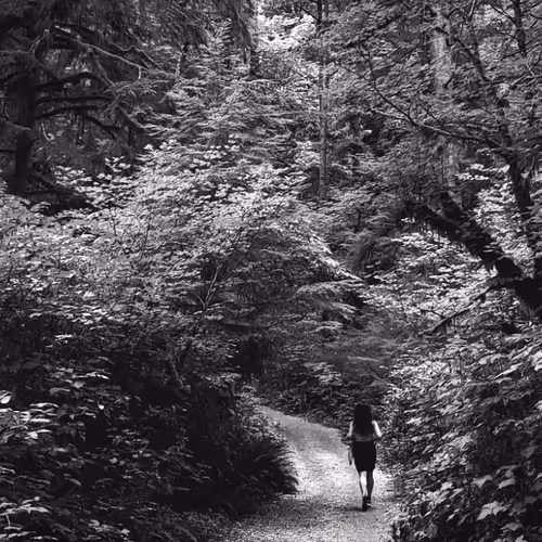 Untitled Collection #64800234