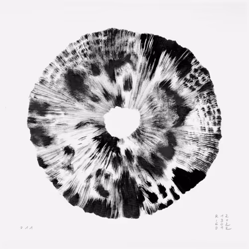 Item #87368348536975332333645058037990373278500397313615538842159321346278512656395 Media