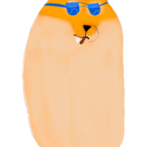 Doge Jellybean