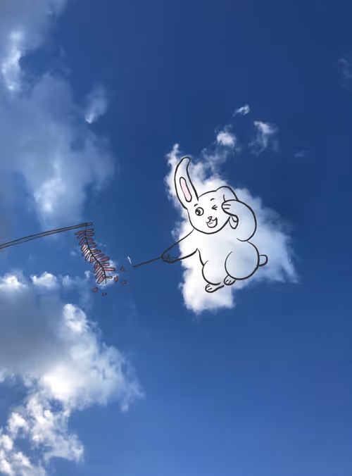 Item #86435781351557595240852812126078266197944335596761965284369080056301456719873 Media