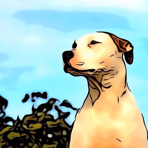 Untitled Collection #62153886