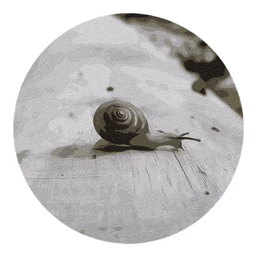 Item #73474911565276893363269127585336255498112534630235322163062143104039962804225 Media