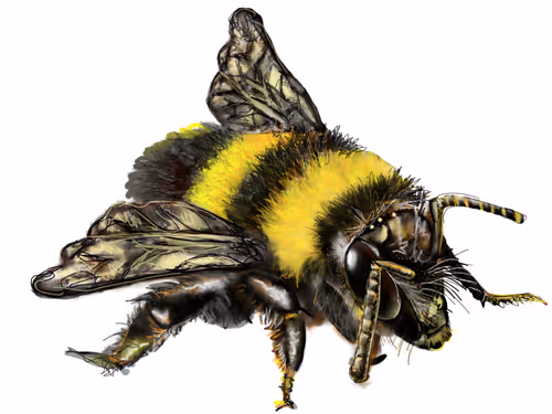 Item #96195038852831448245791051630160520223851253393079089149513191855141886623745 Media