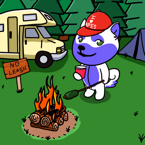 Dogepalooza Camp 011