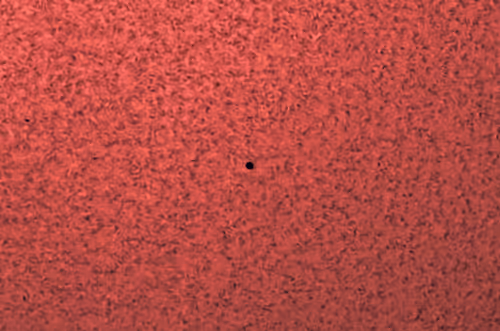 Item #97012587499429790410891449160678480242107377463649634715950859406529425047553 Media