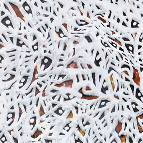 Item #6135615210838207181460231726623395431657623942646172617288677063622473547777 Media