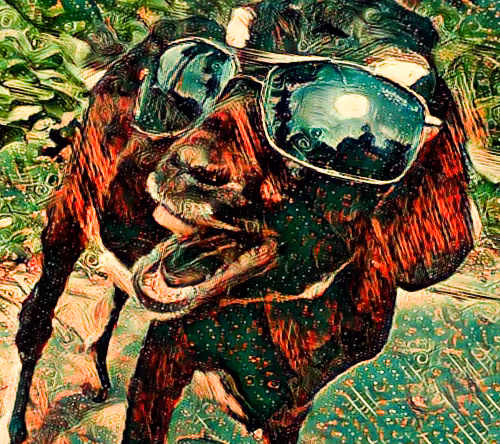 Untitled Collection #257232832