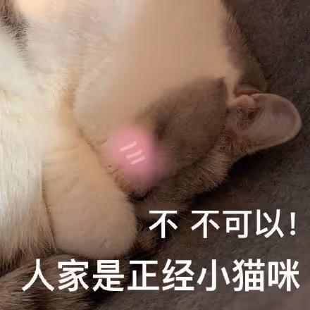 aaa15