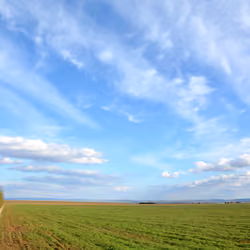 Beloved landscape #30