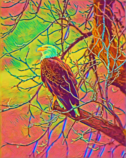 Item #75164984898551115248887010361709320867309151549896276985250493139529737699329 Media