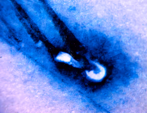 Item #71646257518770613568983710813551014237803002136866425209291834328659773095937 Media