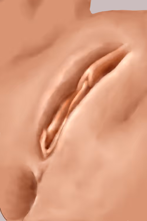 Item #68381593716562865563152099600931244155486109678084785848427648190382793031681 Media