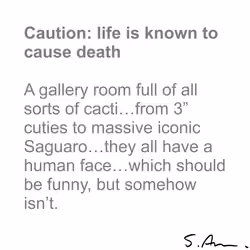 Caution: life is known to cause death