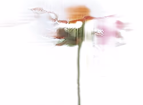 Item #34571563386459127761261740546366153221129147098234432782485651009356821430273 Media