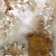 111264774895172989553606282022194155892745764425417346937131400110253019234305