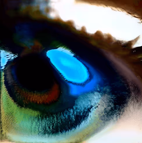 Item #73500473601639277492783536232978387069951164458626547516930003822350591590401 Media