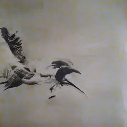 First Flight