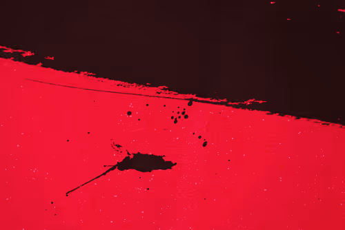 Item #89379789096159316254634402396532420743360395392417650095065919046878152884234 Media