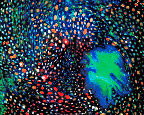 Item #99440989143313326318844898632848722044945652969793679238659256416480484392961 Media