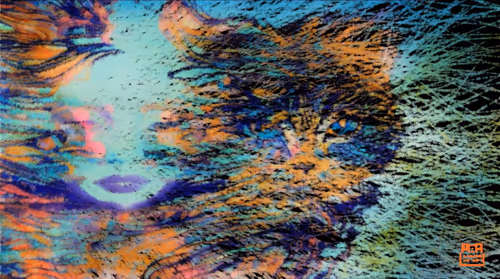 Item #89972369431013074484389068592837025130344296282461908441877120729742789574657 Media