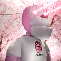 OG Milo Cherry Blossom