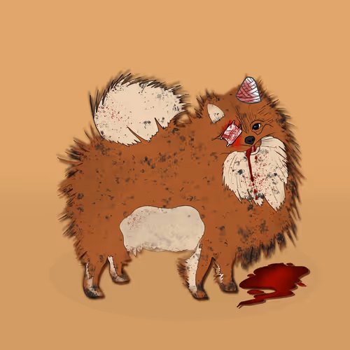 Item #18929025953091685879740265421444029621973902778044225700407145446212424957953 Media