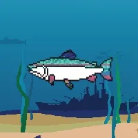 Etherfishing