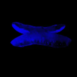 23333466697875174516646510041421218827281761794801465450686785897085509042177