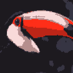 PixTucan