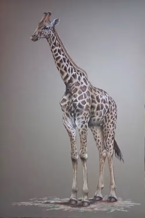 Item #4288309145407295523431116215122397111529594114986911850026632793654248341604 Media