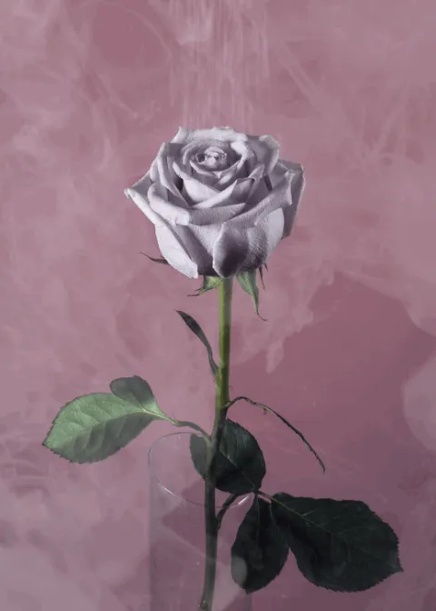 Item #31900271073354632832991890429912638653086322620126594410230774056805736644609 Media